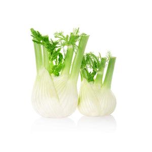 ANISE (FENNEL)