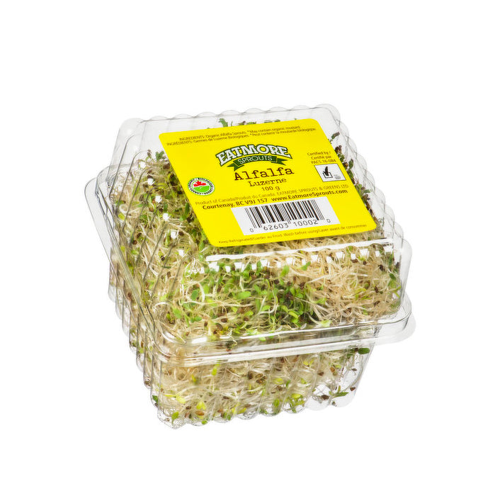 ALFALFA SPROUTS