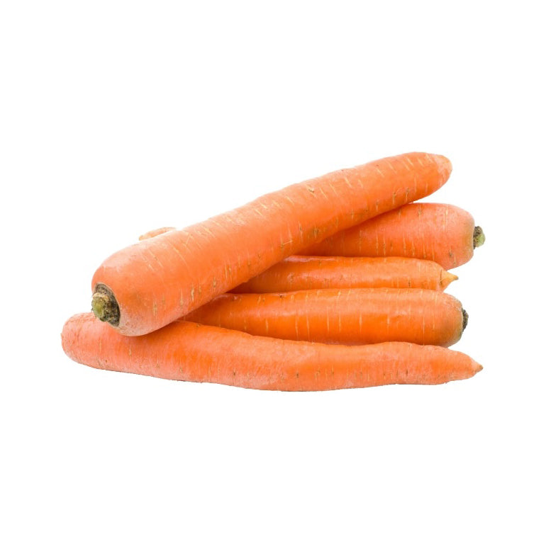 CARROT LOOSE