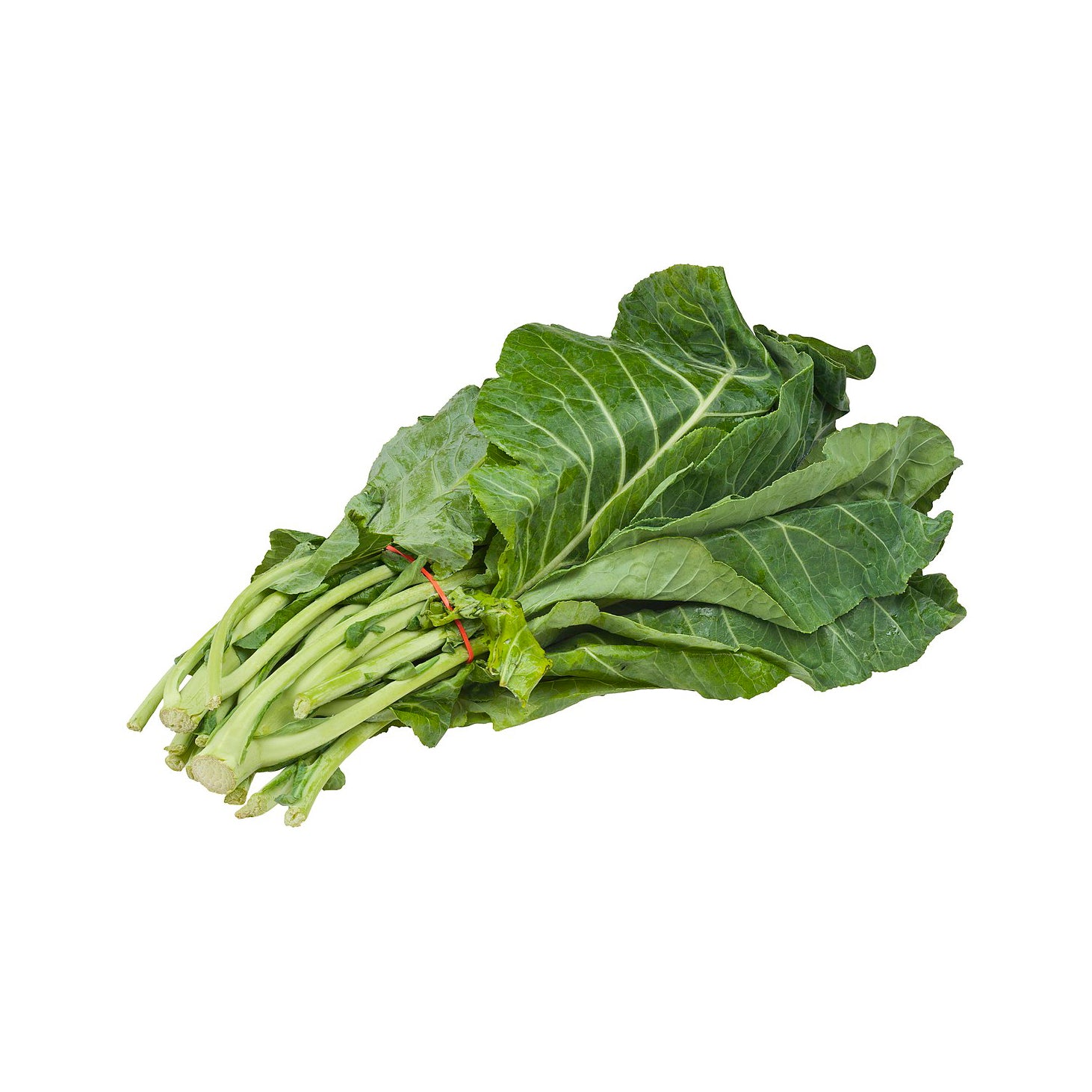 Collard Green