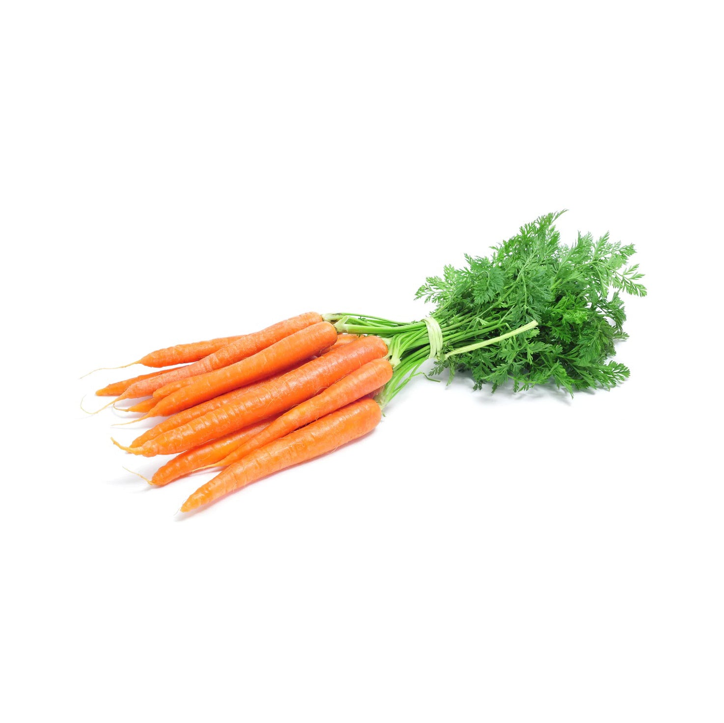 CARROT BUNCH