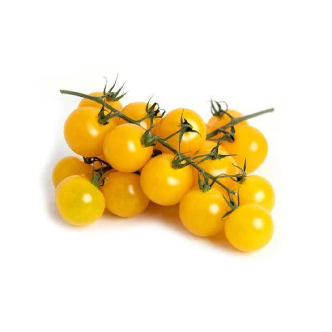 Tomato cherry  yellow on the vine