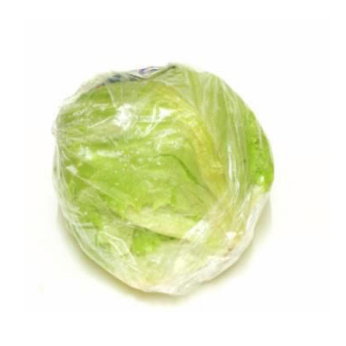 CELLO LETTUCE