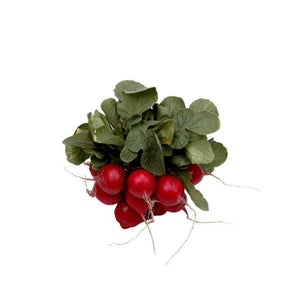 RADISH BUNCH