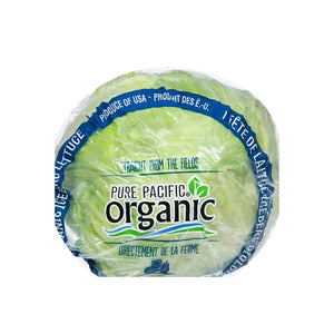 OG CELLO LETTUCE