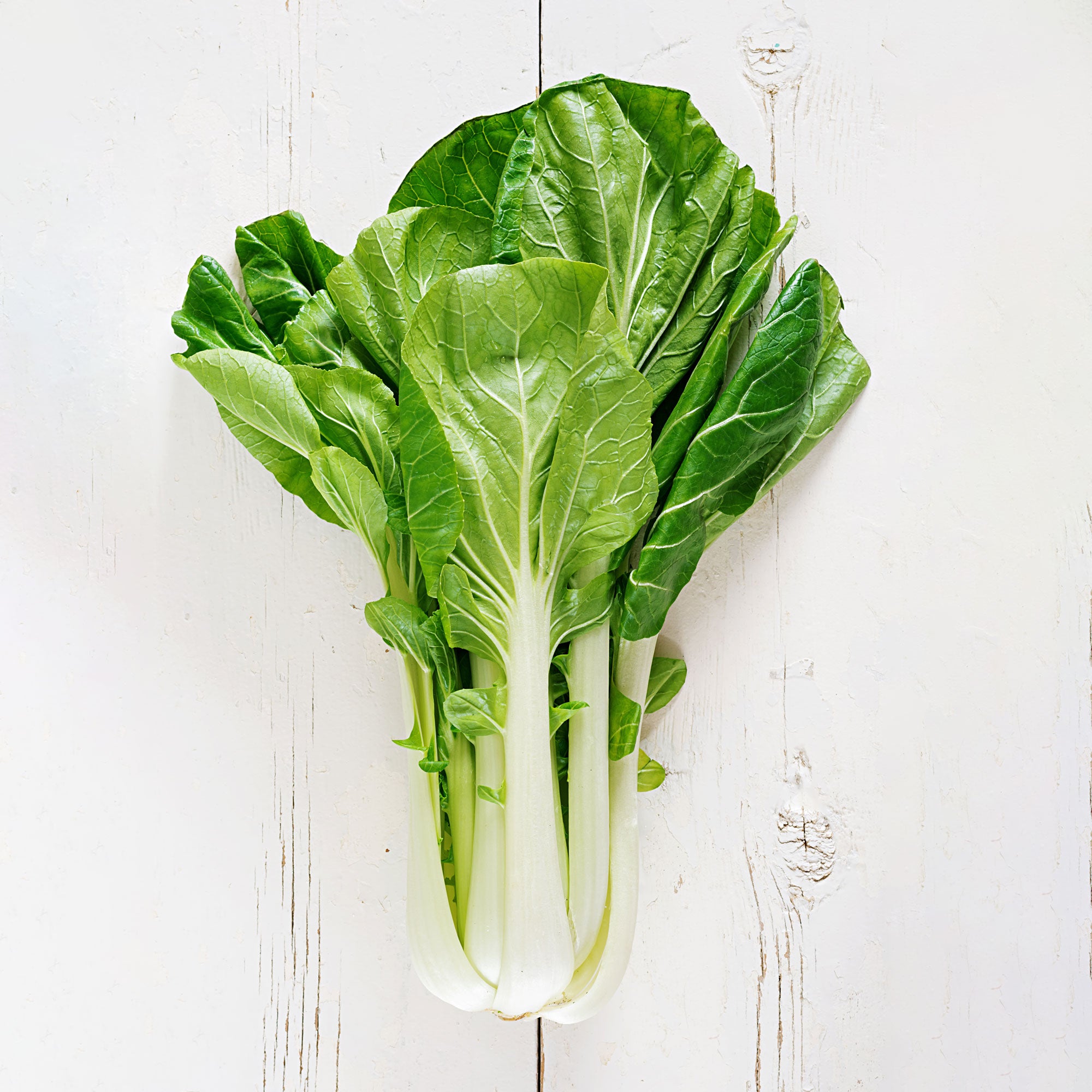 BOK CHOY