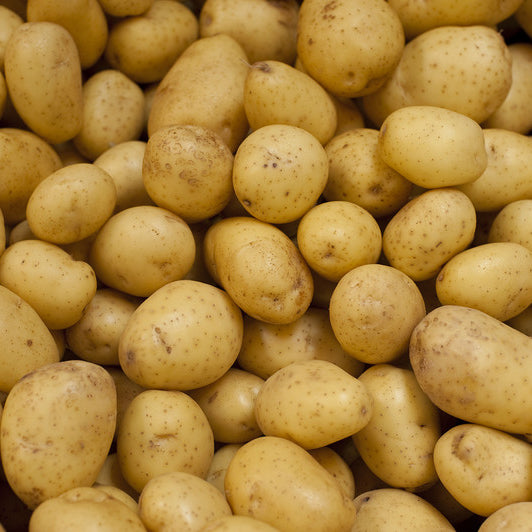 POTATOES YUKON GOLD C BOX