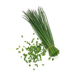 KILO CHIVE