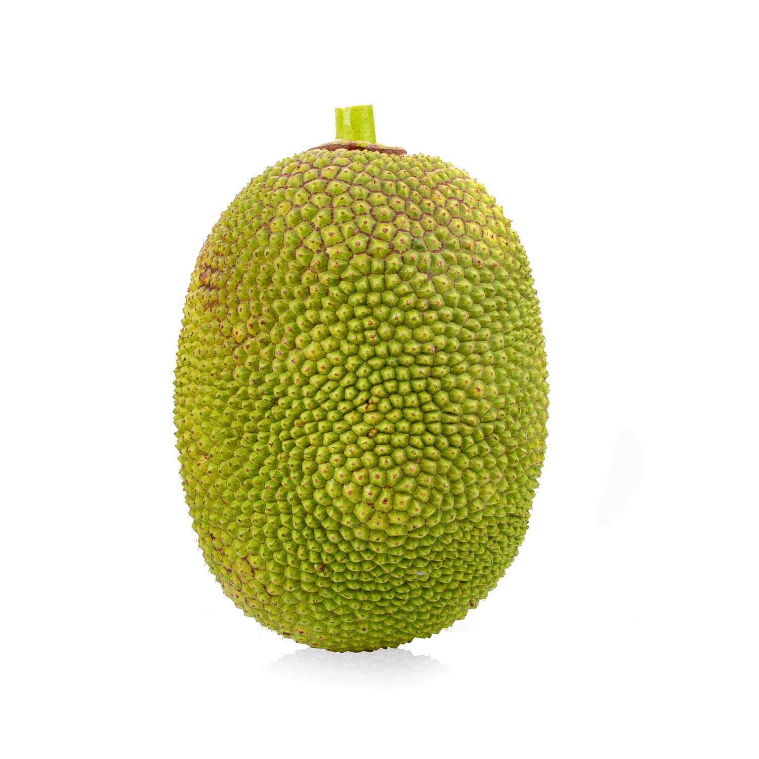 JACKFRUIT