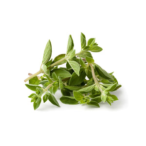 KILO OREGANO