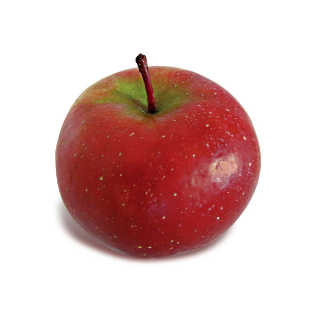 APPLE ROME