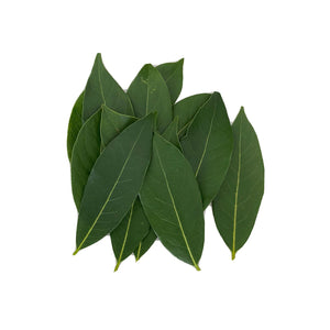 KILO BAY LEAF