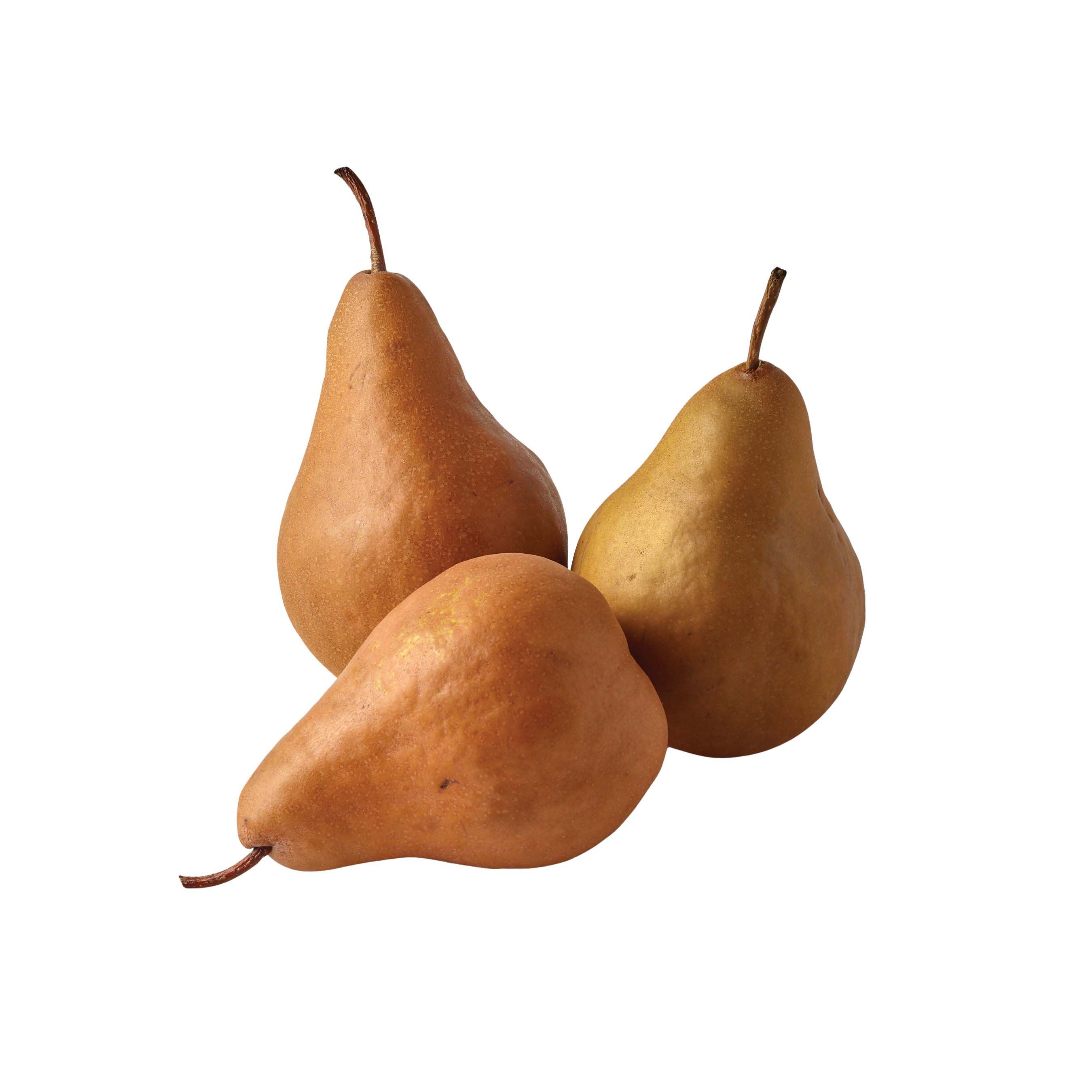 OG PEAR BOSC