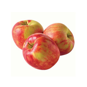 APPLE HONEYCRISP