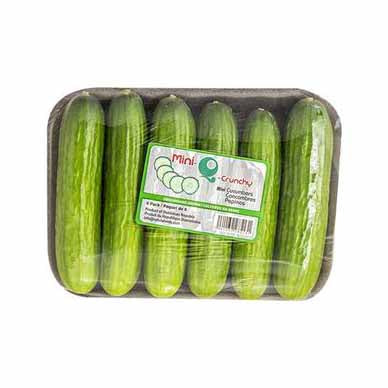 CUKE PERCIAN PK 12/1LB