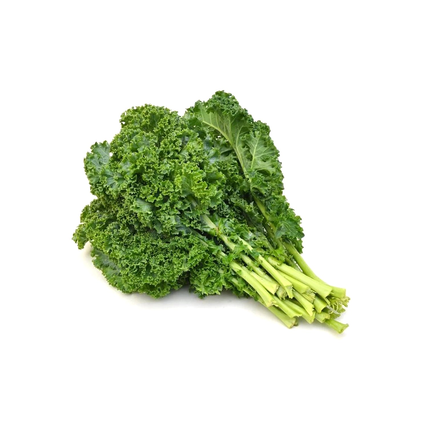 OG KALE