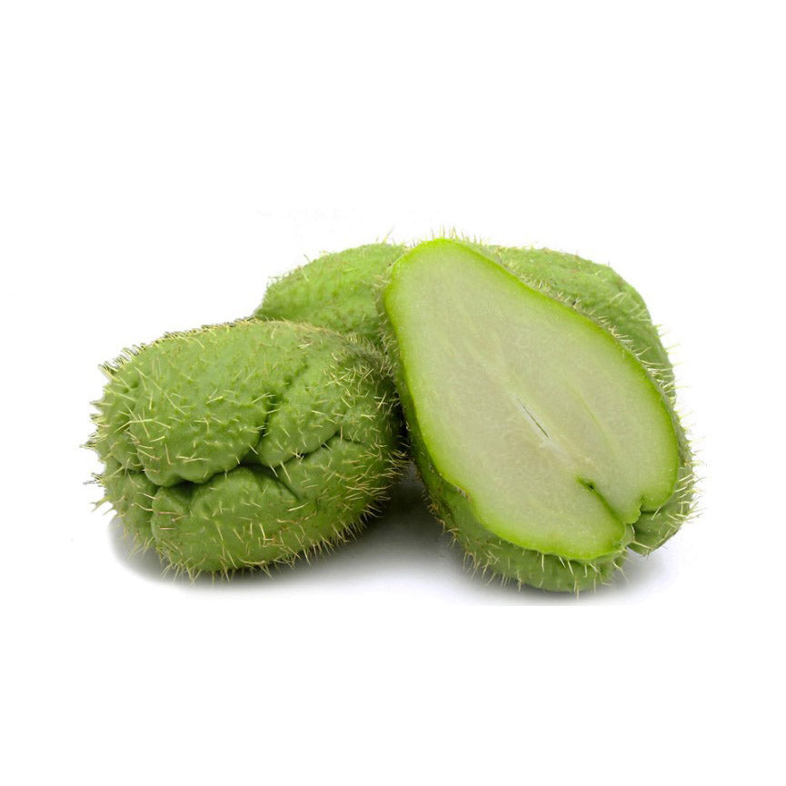 CHAYOTE CON ESPINA