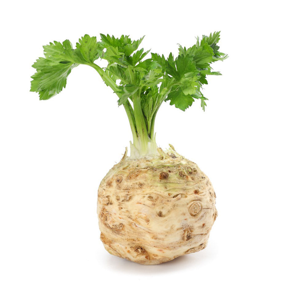 CELERY ROOT