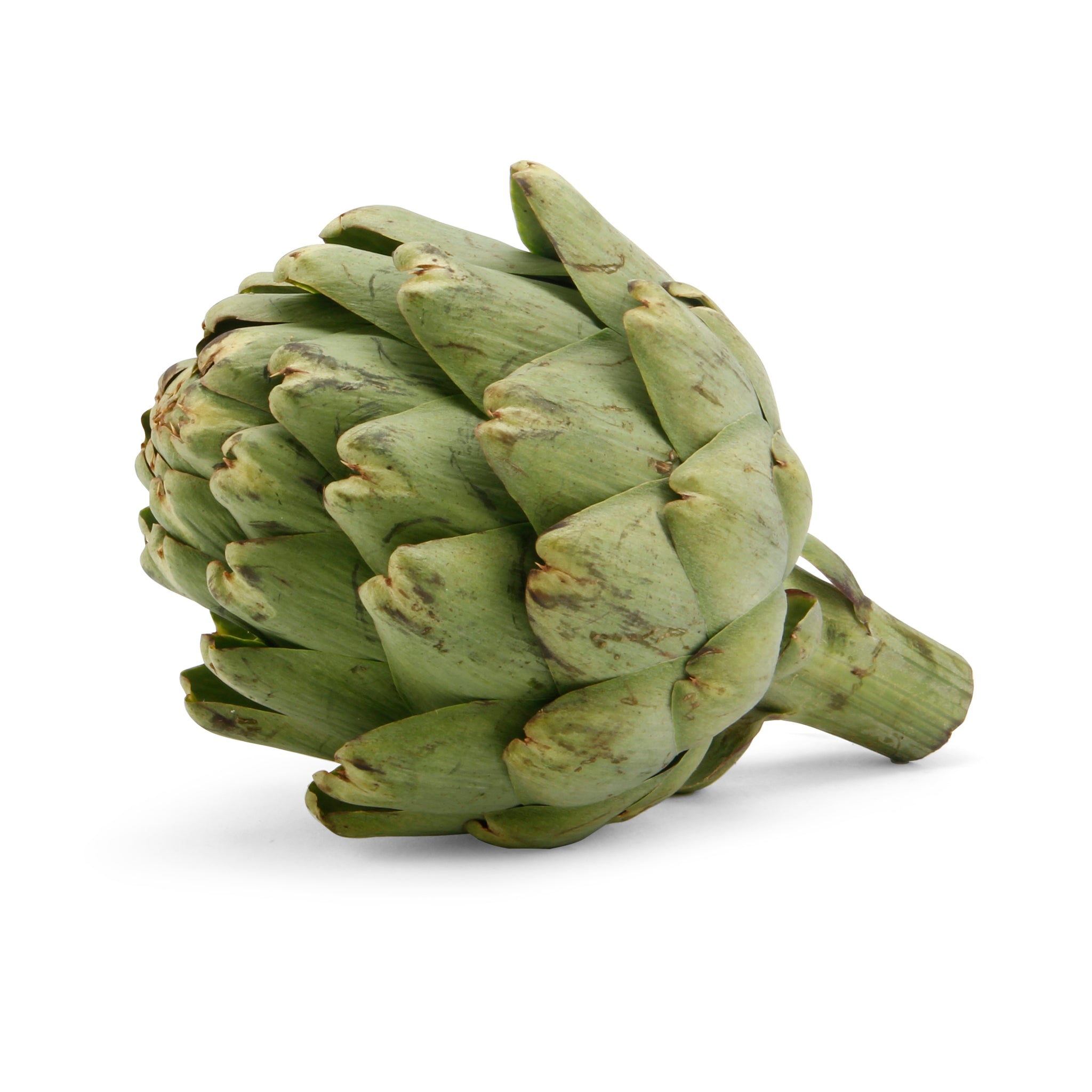 ARTICHOKE