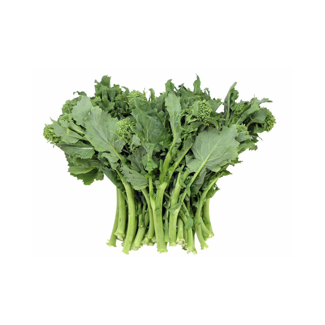 broccoli-rabe-cj-tropical-corp