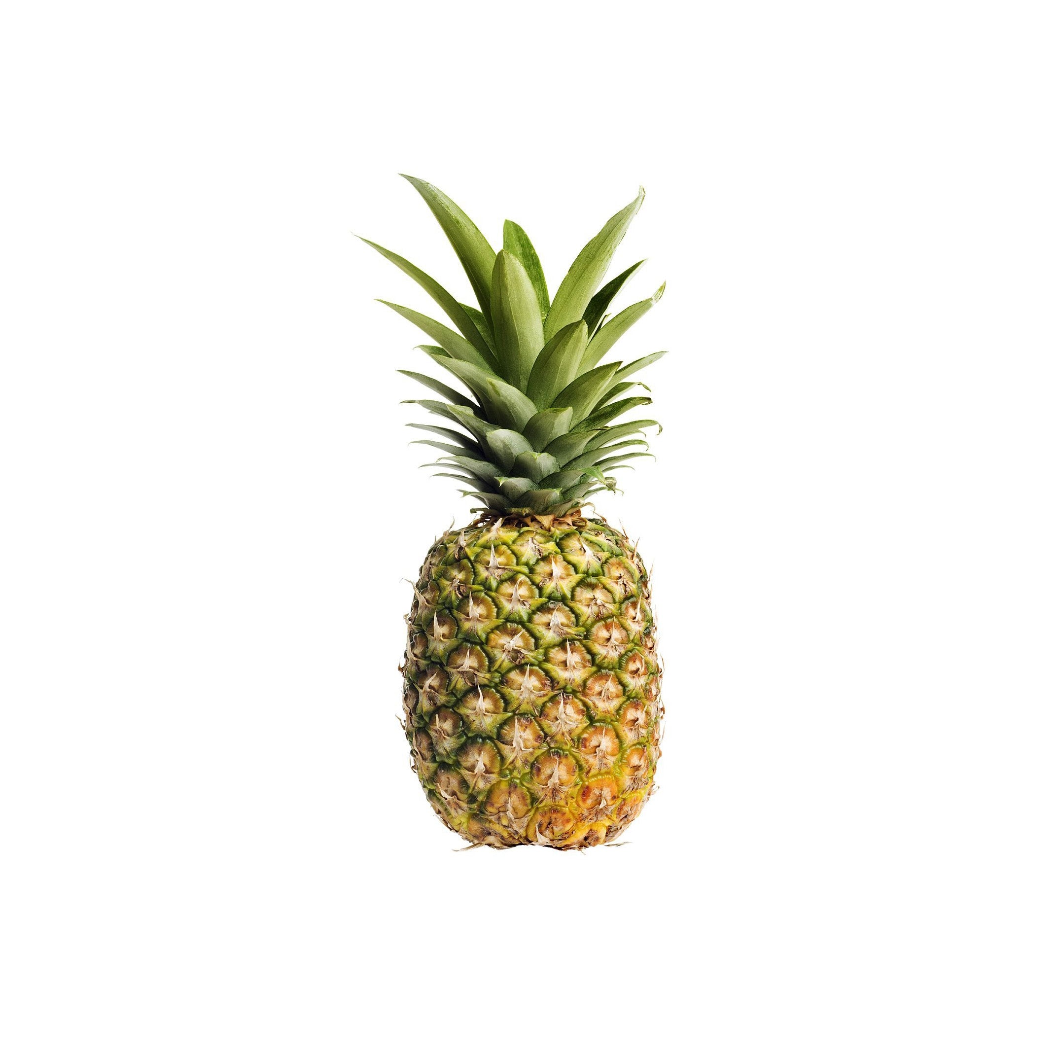 PINEAPPLE