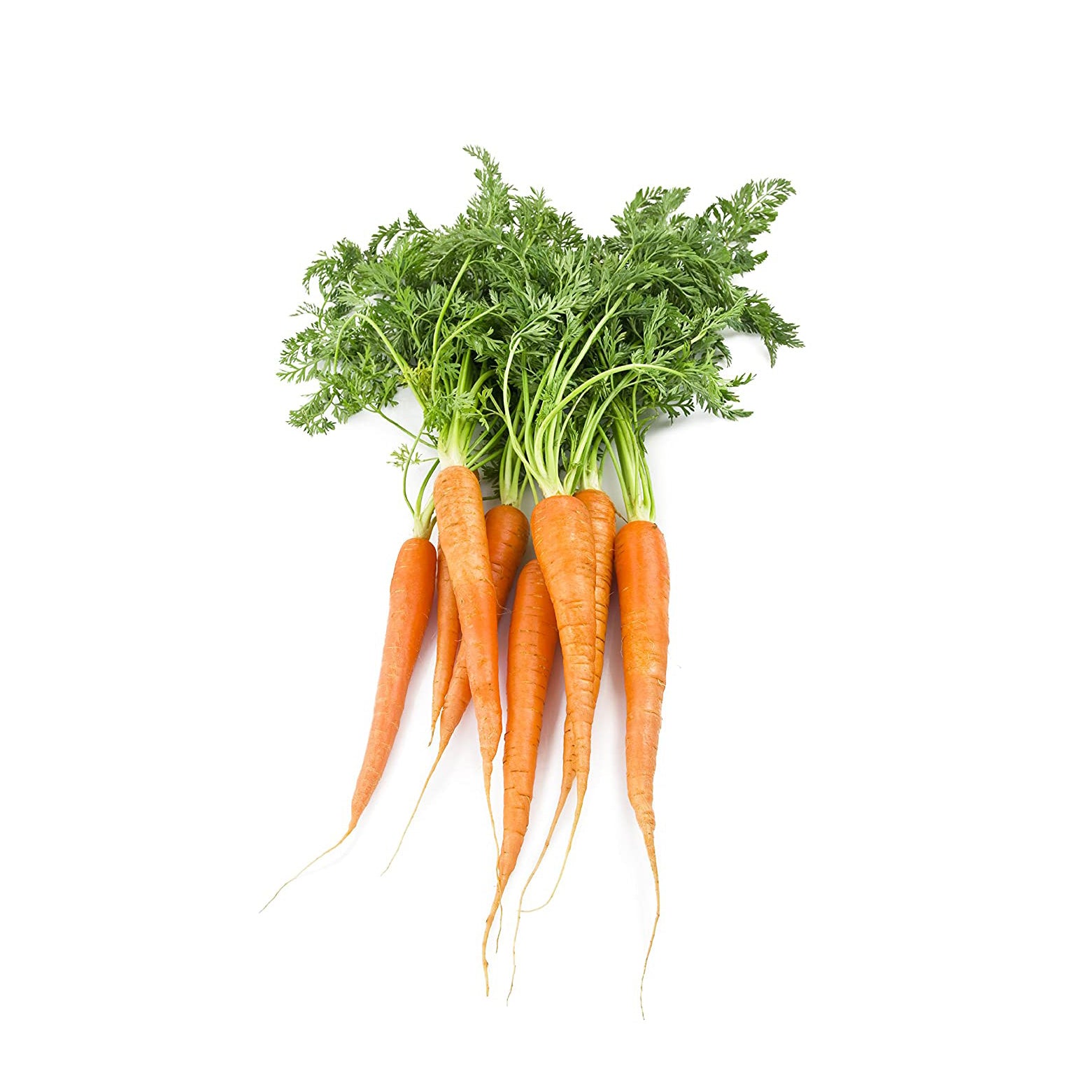 OG CARROT BUNCH