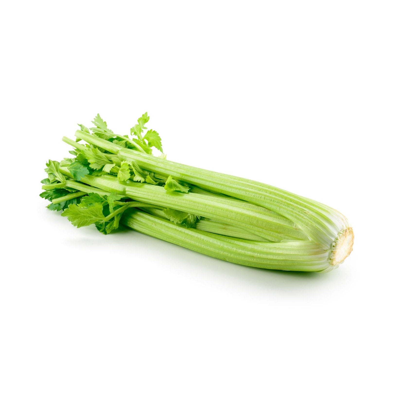 CELERY LOOSE