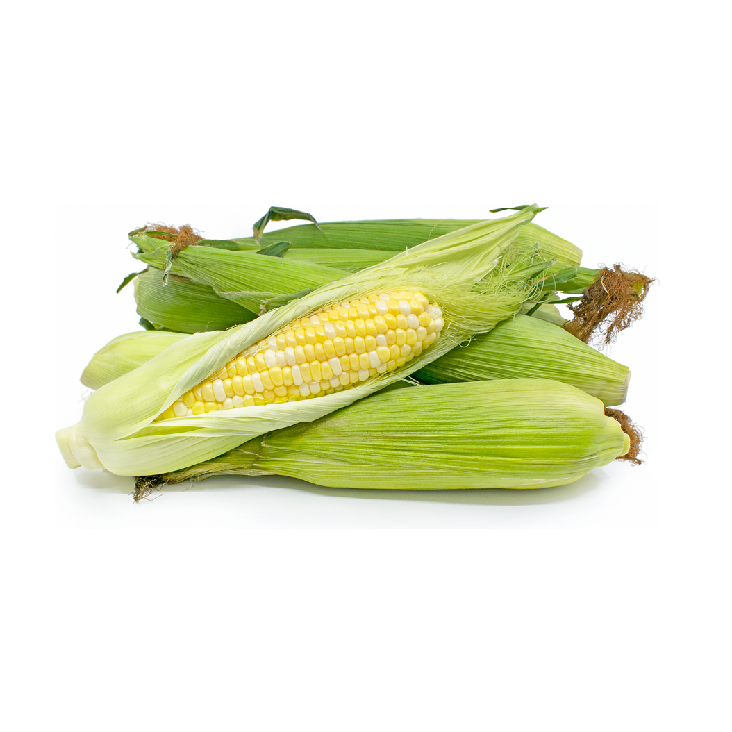 CORN BI-COLOR