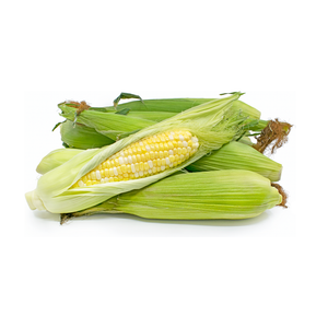 CORN BI-COLOR