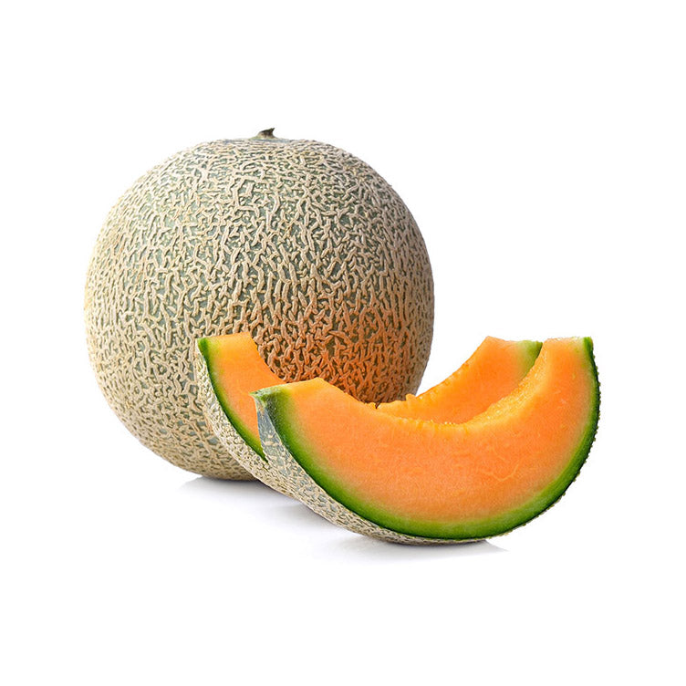 CANTALOUPE