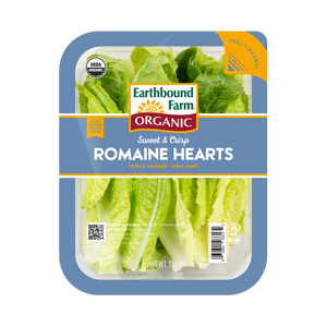 EB ROMAINE