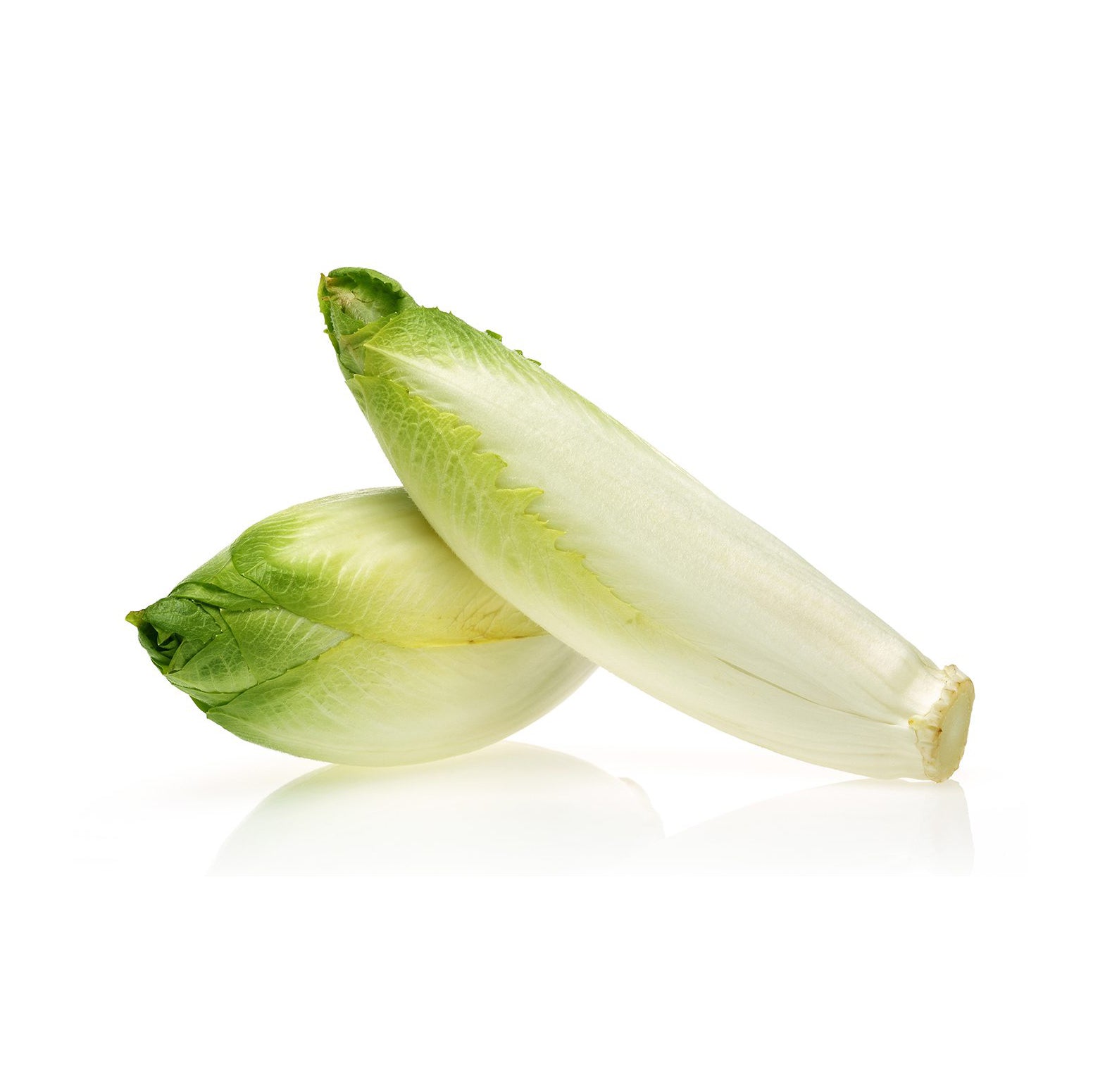 ENDIVE WHITE