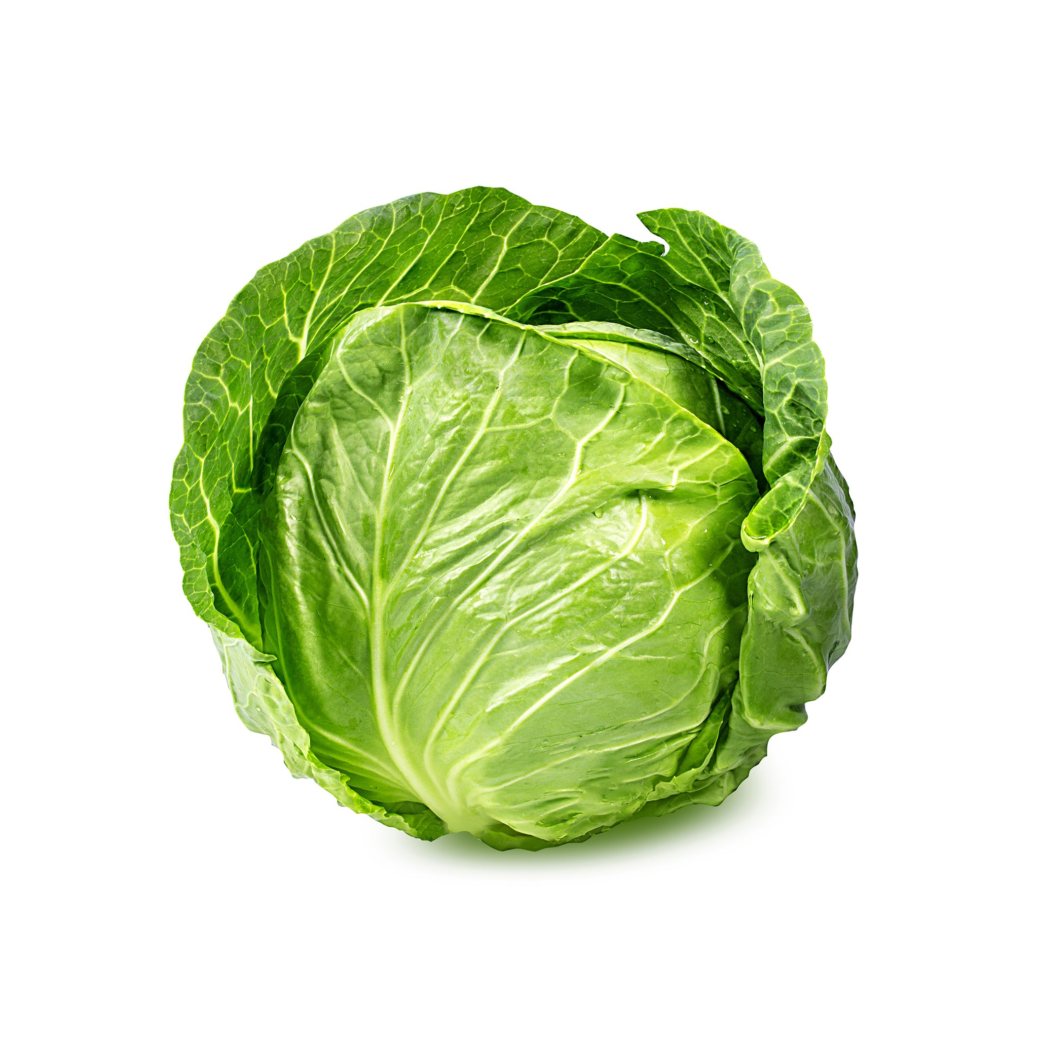 CABBAGE GREEN