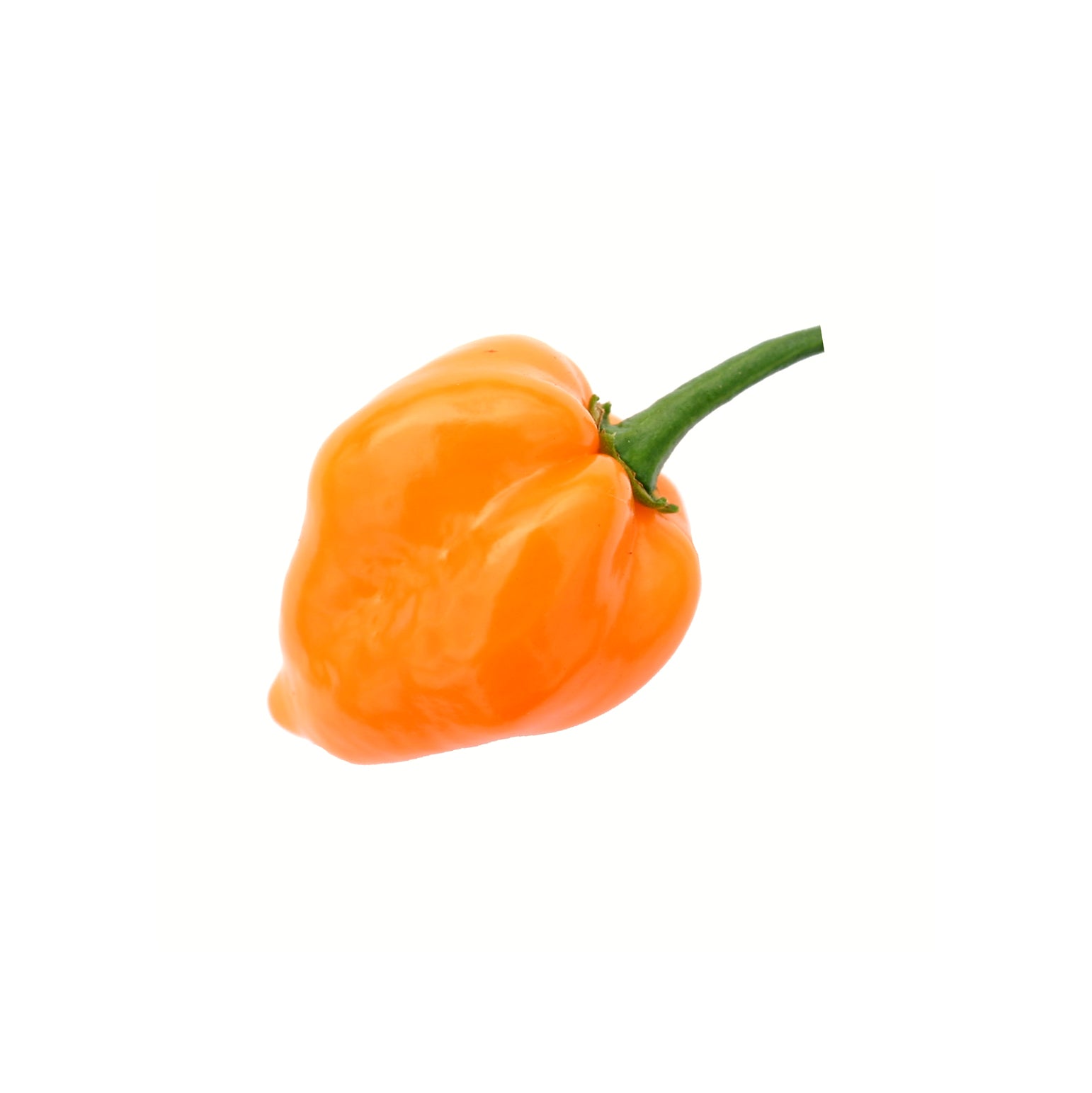 PEPPER HAB-ORANGE BOX