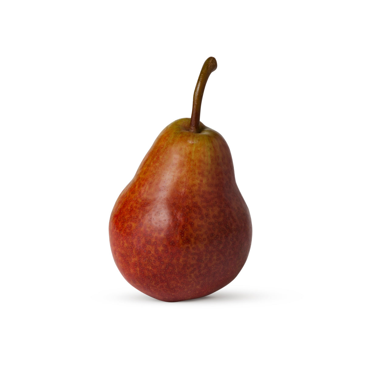 PEAR ANJOU RED