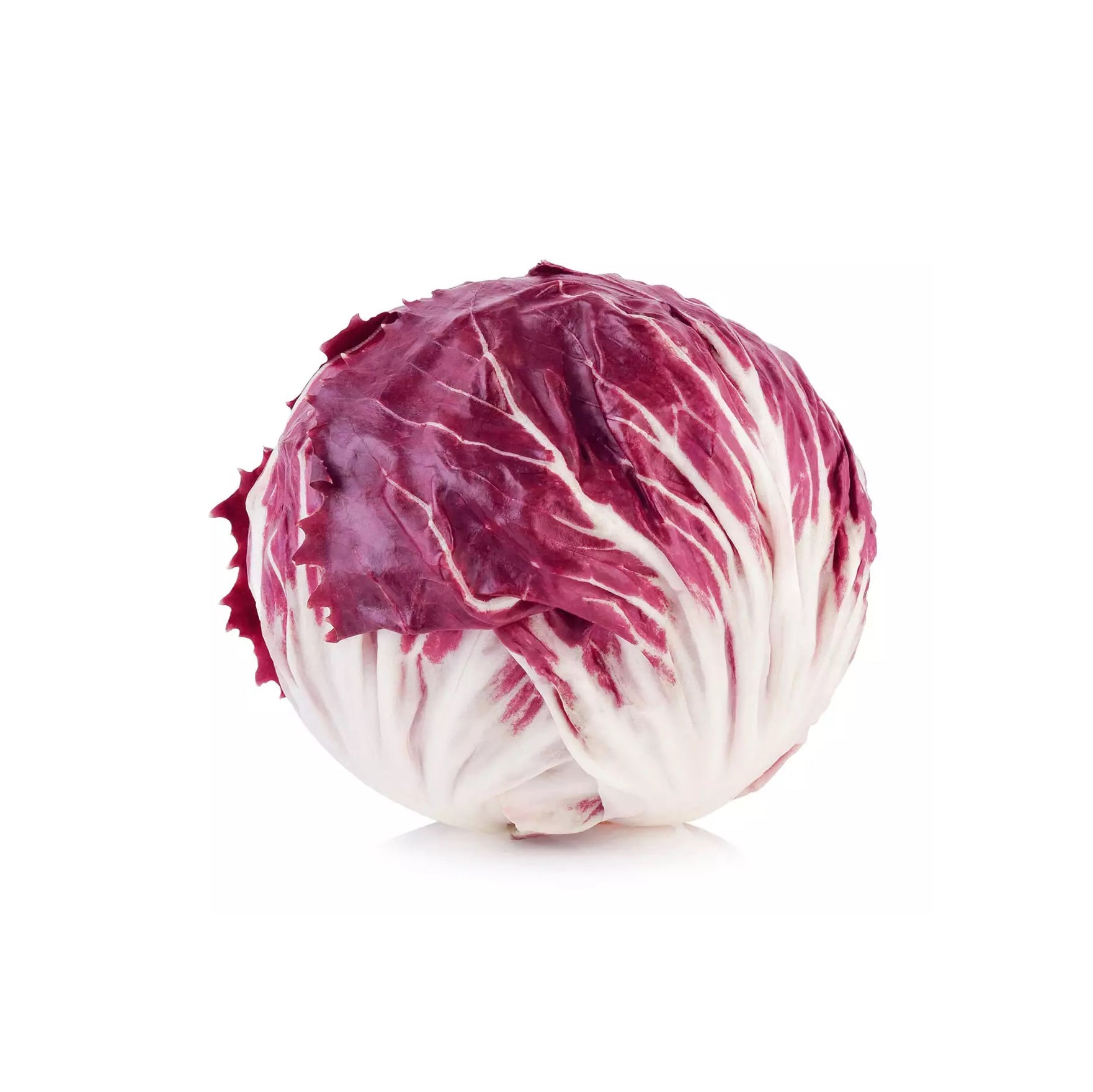 RADICCHIO