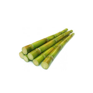 SUGAR CANE GREEN