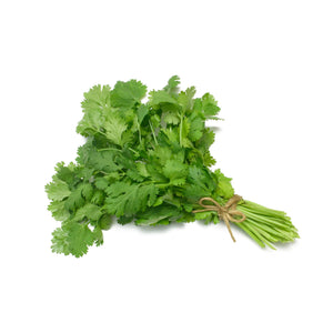 CILANTRO