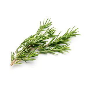 KILO ROSEMARY