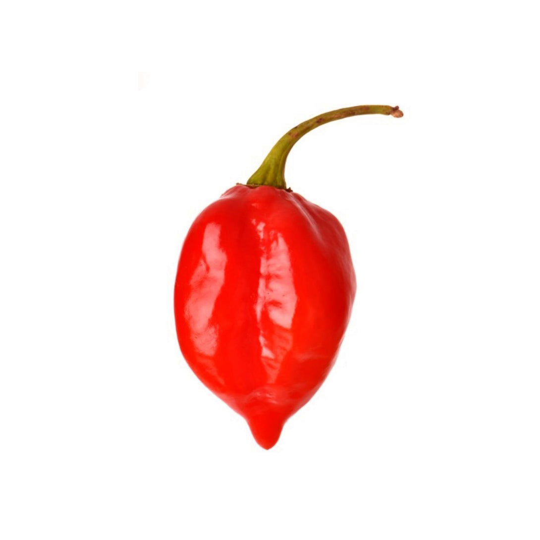 PEPPER HAB-RED