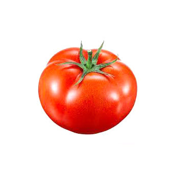 Beefsteak Tomato