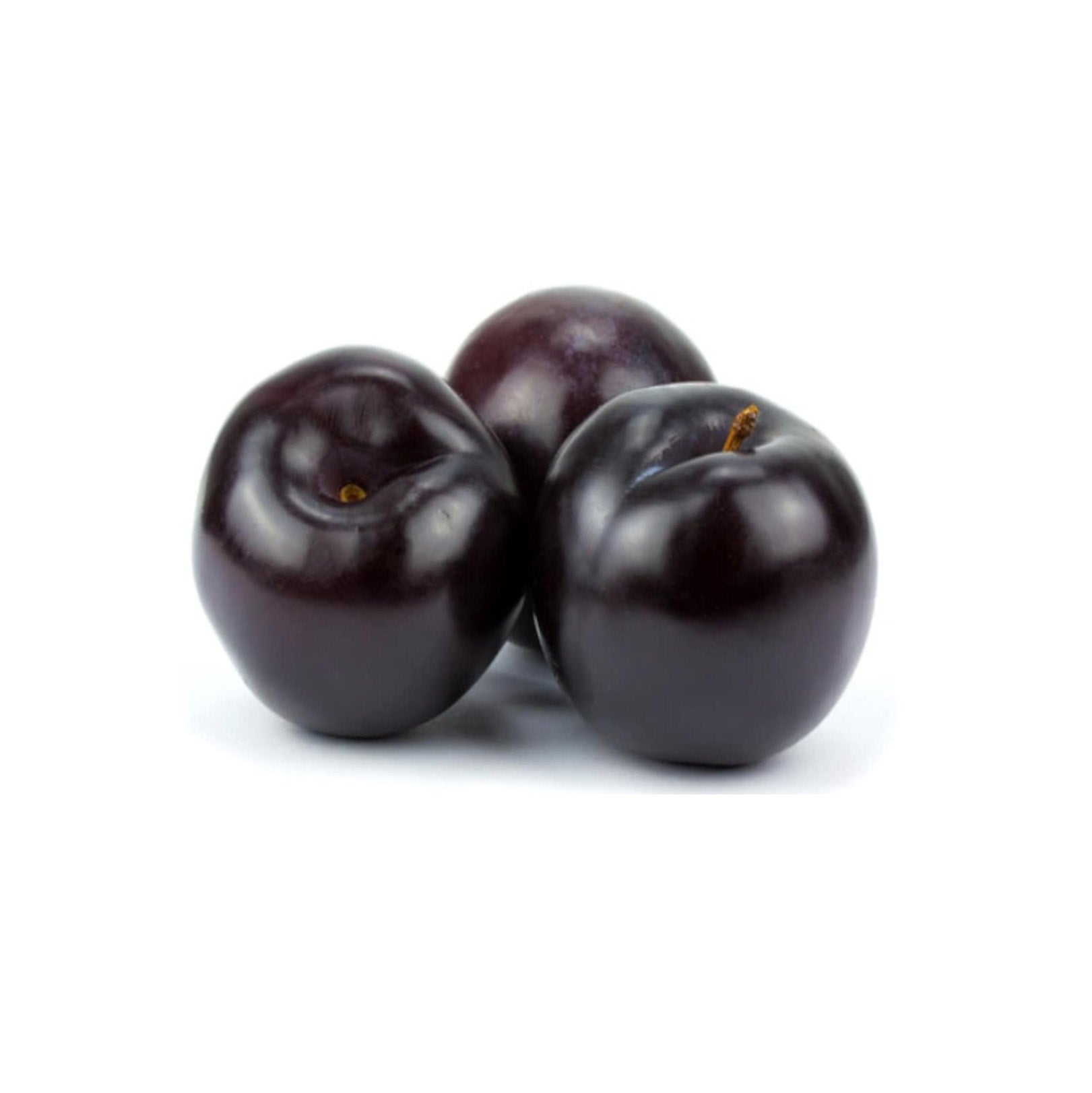 PLUM BLACK