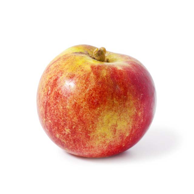 APPLE MCINTOSH