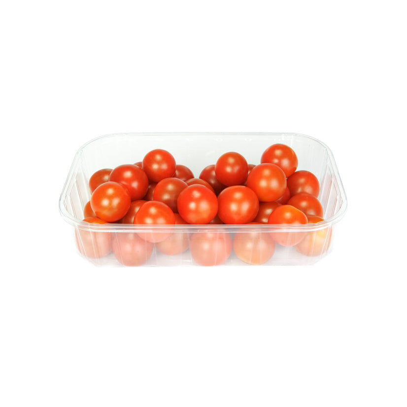 TOMATO CHERRY TRAY