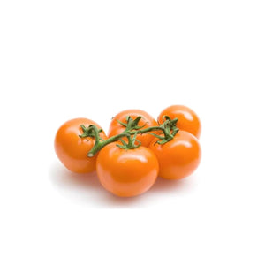 TOMATO VINE ORANGE BOX