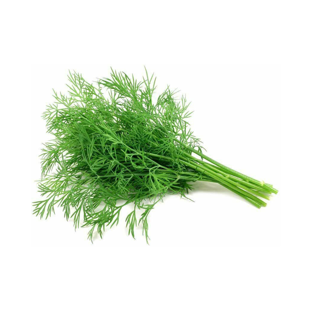 DILL