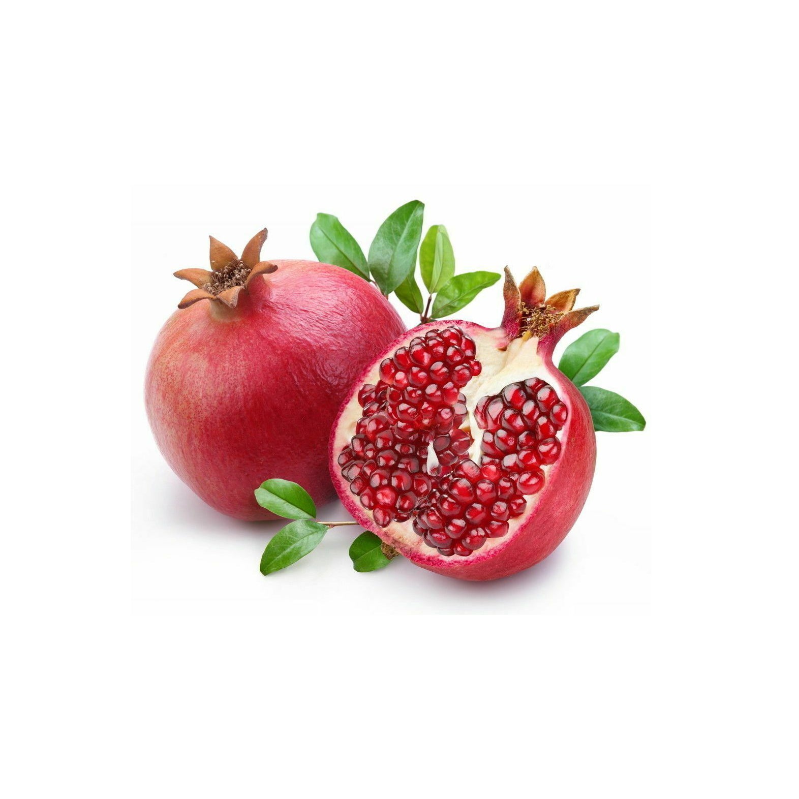 POMEGRANATE