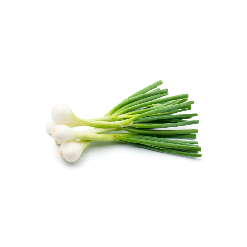 SCALLIONS