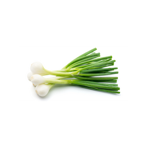 SCALLIONS