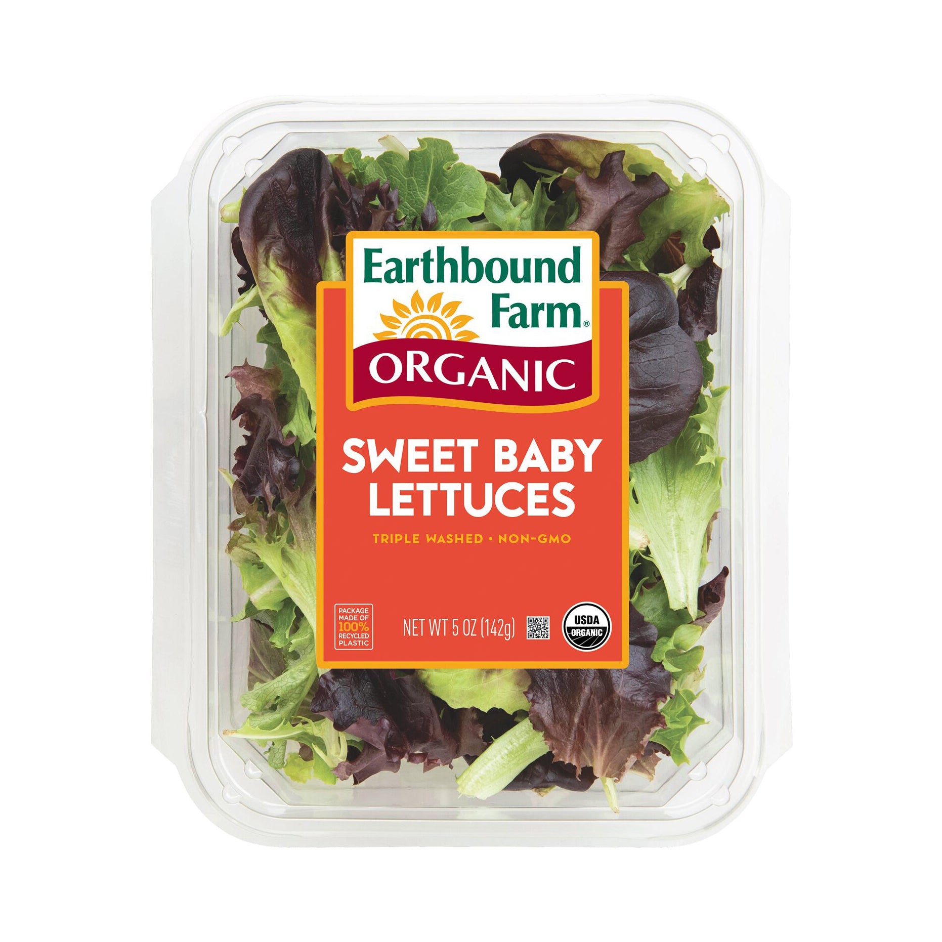 EB BABY LETTUCE